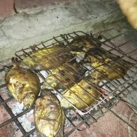 WhatsApp Image 2023-10-20 at 21.18.45 (1)